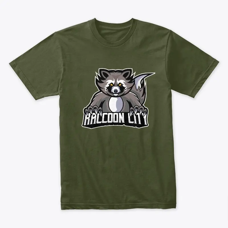 raccoon gamer 2